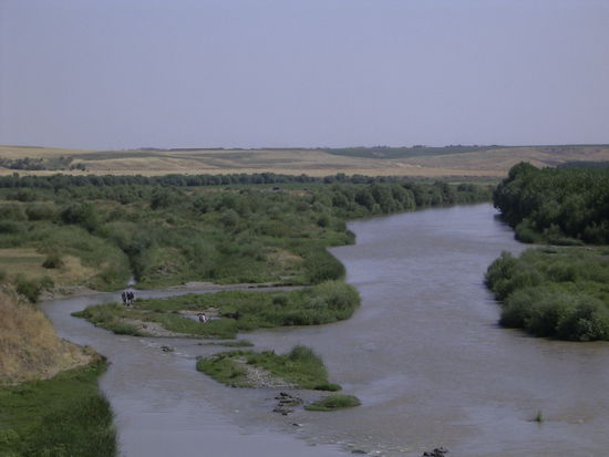 Dicle nehri (Tigris)
