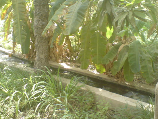 Ein Aflaj, ein traditioneller Bewässerungskanal