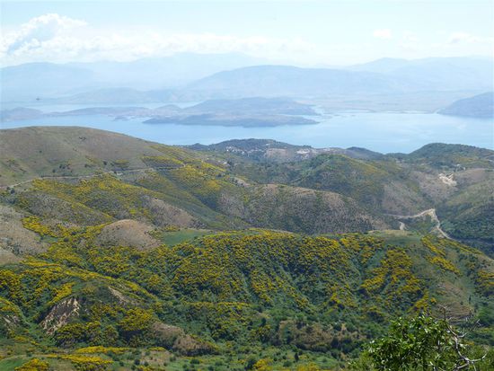 Ginsterüberwachsen, die Rücken der Bergen