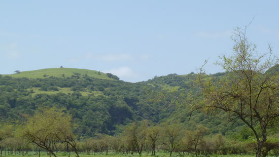 Das gilt nur für die feuchte Zeit, non Mitte Juli bis Mitte September