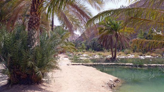 Die Grünen Pools im Wadi Bani Khaleed ....
