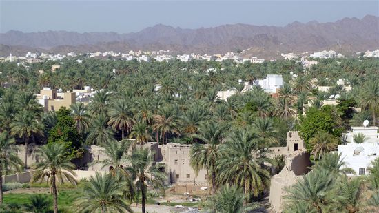 Dattelpalmen und Lehmhäuser bestimmen die Oase  Nizwa