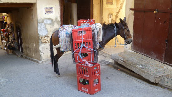 Auch in Marokko gibt es Coca-Cola-Laster