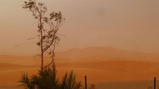 Wenn man schon in der Wüste ist, sollte man auch einen richtigen Sandsturm miterlebt haben