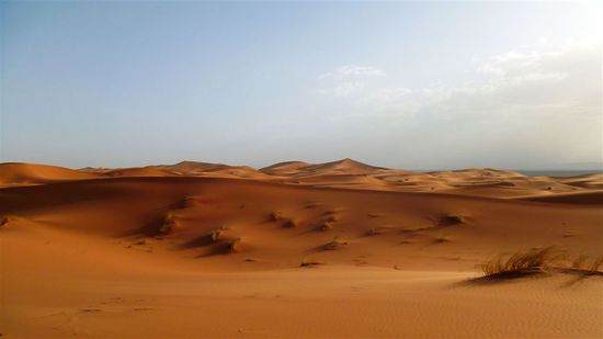 Sand, soweit das Auge reicht.