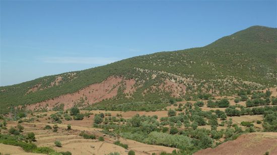 ... lässt etwas mehr Grün gedeihen.