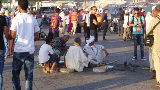 Allgegenwärtig, die Schlangenbeschwörer ....