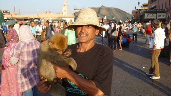 ... die posieren, sobald auch nur jemand einen Foto blicken lässt.
