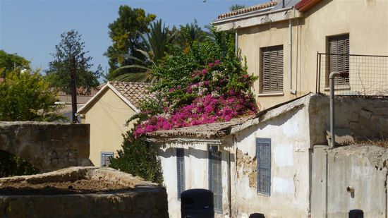 mediterran bewachsene Häuser