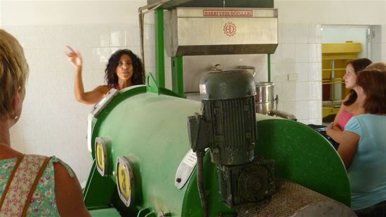 Zu Besuch in einer Olivenölpresse.