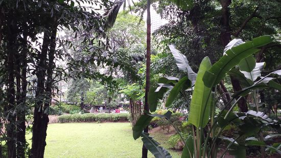 Es gibt aber neben Hochhausschluchten und Straßen auch schöne Parks ....