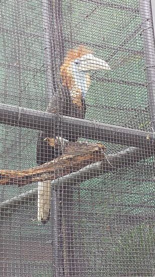 ..... und einen kleinen  Zoo, mit schönen Tieren, der Eintritt ist frei.