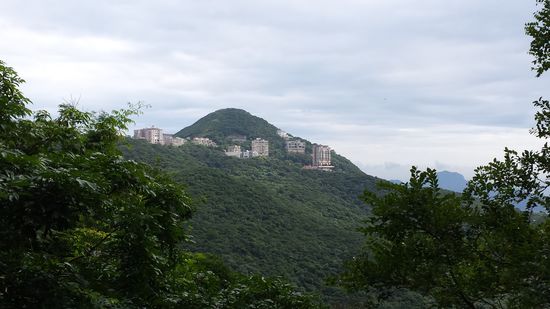 Um den Gipfel des Mount Victoria gibt es einen schönen Rundweg.