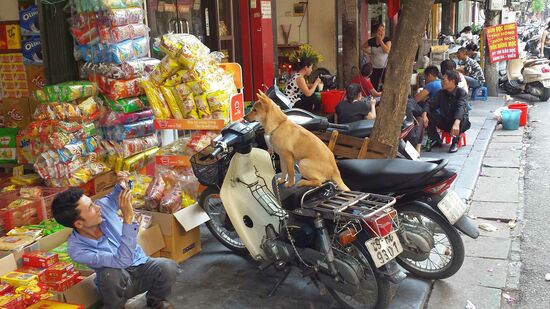 Das nächste Abendessen?
