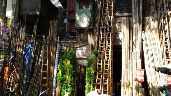 Bambus, ein wichtiger Rohstoff in Südostasien.