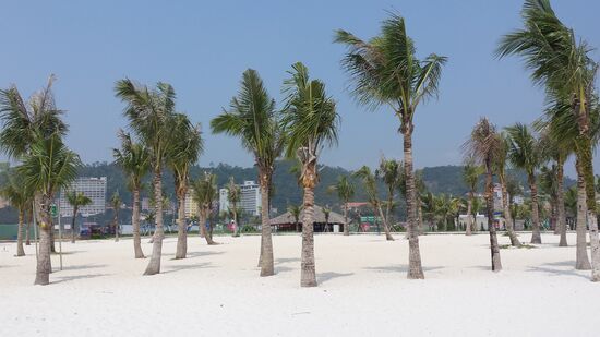Am nächste Morgen wird erst einmal der beste Strand der Stadt ausfindig gemacht.