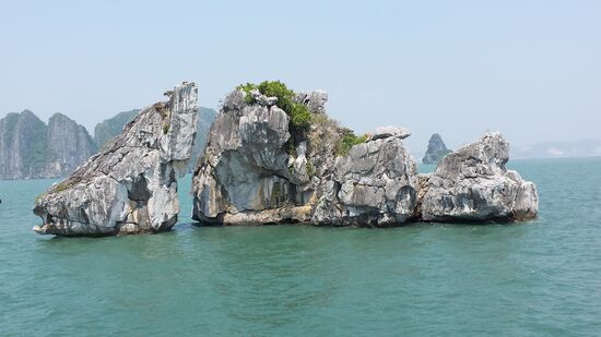 Nach einem zweiten Stop zum obligatorischen Markt, geht es dann am Wahrzeichen der Ha Long Bucht vorbei.
