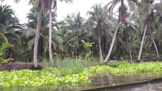 Bis wir die Märkte erreichen, ......