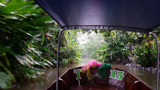 ....., geht es erst durch Dschungel und Urwald.