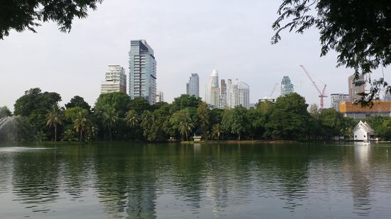 See im schönen Lumphini Park.