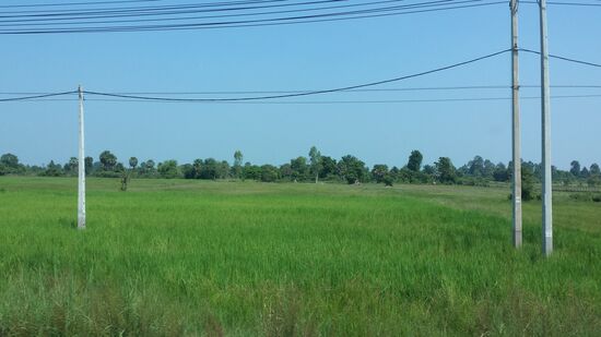 Reisfelder bestimmen das Landschaftsbild.