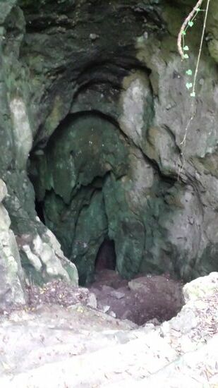 Nur nicht runterfallen....