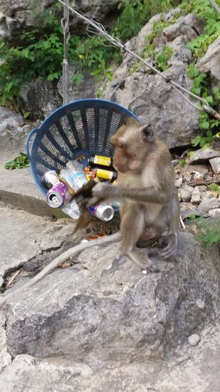 Irgendwo findet sich immer etwas Brauchbares.