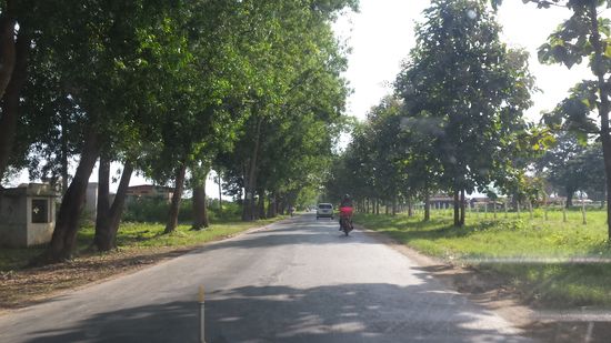 Schöne, neue Einblicke