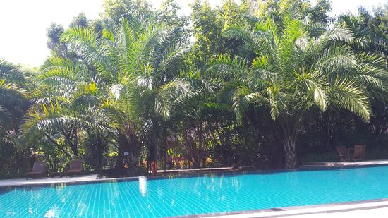 Den Rest des Tages verbringe ich entspannt am schönen Pool ....