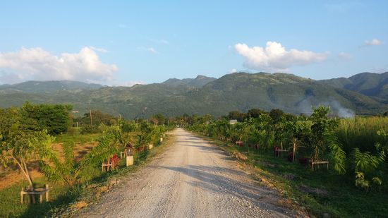 .... bevor ich noch einen kleinen Rundgang in die schöne Umgebung mache.