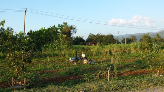 Bauer bei der Arbeit