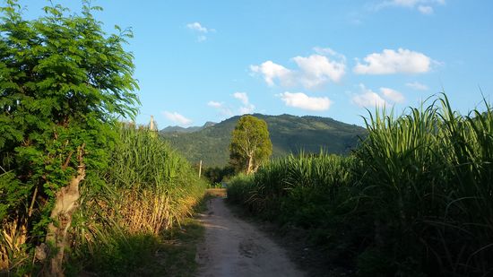 Schöner Spaziergang