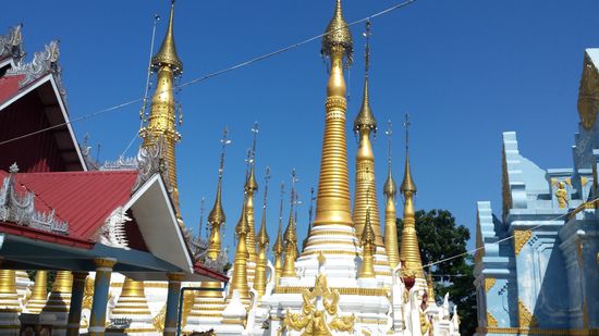 Wieder Mal ein Pagodenwald