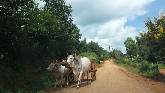 .... dafür aber für einen Reisenden viel interessanter ...