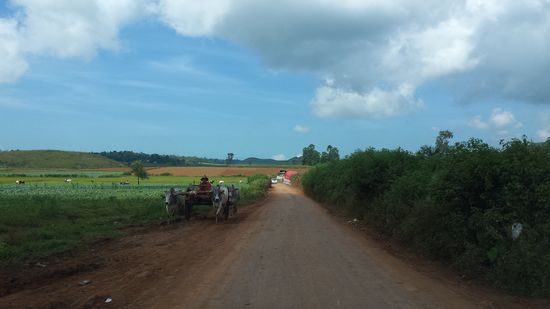 und wieder ein Ochsenkarren