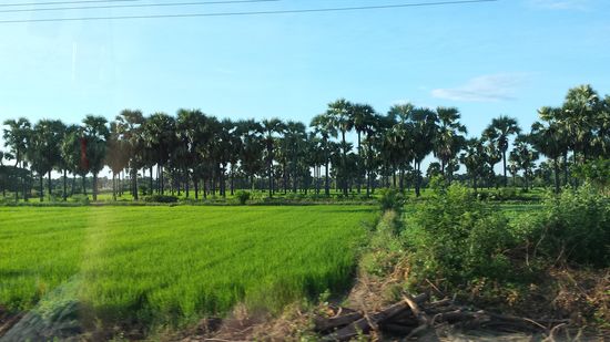 Je länger wir unterwegs sind ....