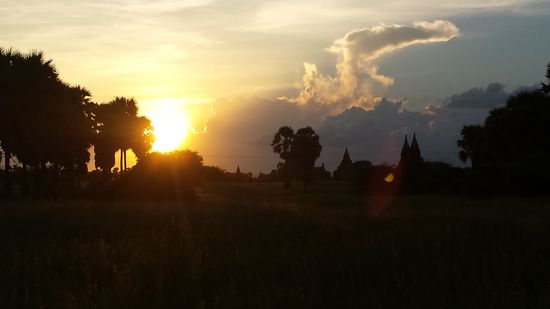 Sonnenuntergang hinter den Pagoden.