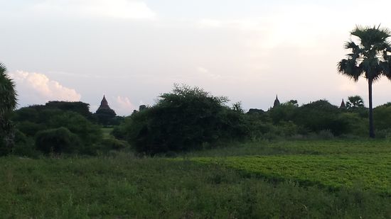 Wieder zurück in Bagan