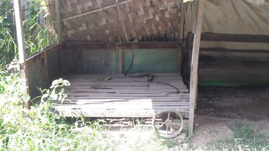 Kann auch mal kommen: Die lange Schlange