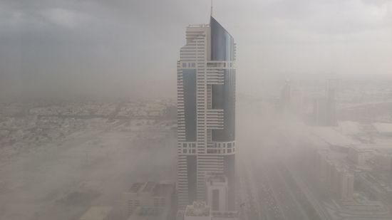 Auch in Dubai kanns mal sauen....