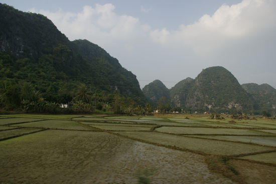 Reisfelder, wo man auch hinschaut ...