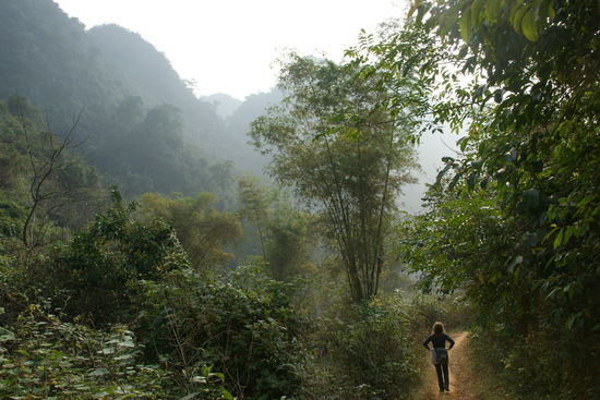 Rücktour; ein paar Meter weiter steht dann ein Wasserbüffel vor mir. Er lässt sich nicht anfassen - schade.