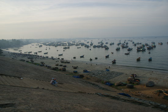 Morgens in Mui Ne, die Fischer bringen ihren Fang ein. Hier wird auch die berühmte Fischsoße hergestellt.