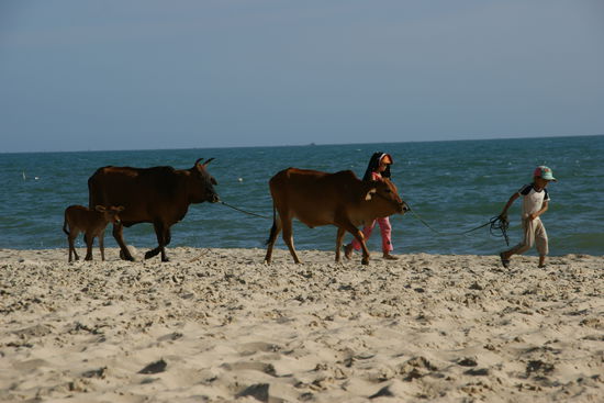 Begegnungen am Strand 