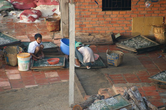 ... der Fang wird gleich sortiert.