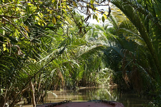 Nebenfluss im Mekong