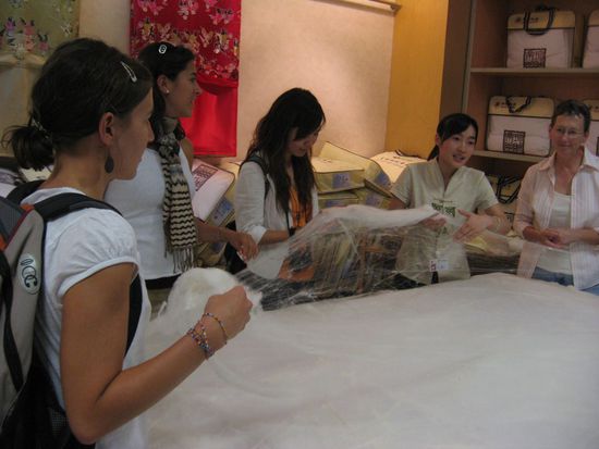 hier bekommt man erklärt, warum Seidendecken so viel besser sind