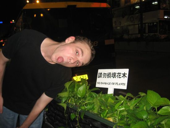 auf Pflanzen haben Schilder: Kevin weiß jetzt, dass es hier nix kaputt machen darf