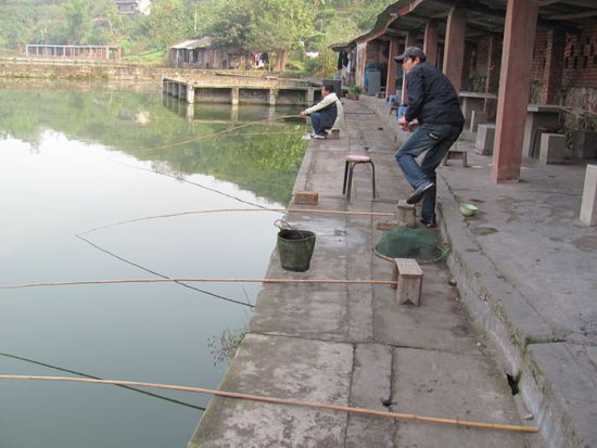 so viele Angelruten und trotzdem nix gefangen....