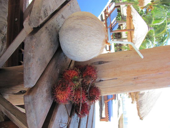 oder trinkt Kokusmlich (ich weiß gerade nicht, was das Problem mit den Hochkant-Bilder ist, werde das Problem beim nächsten mal beheben)